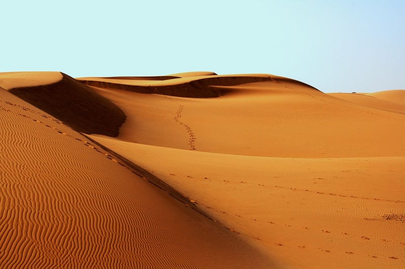 Desert Wilderness